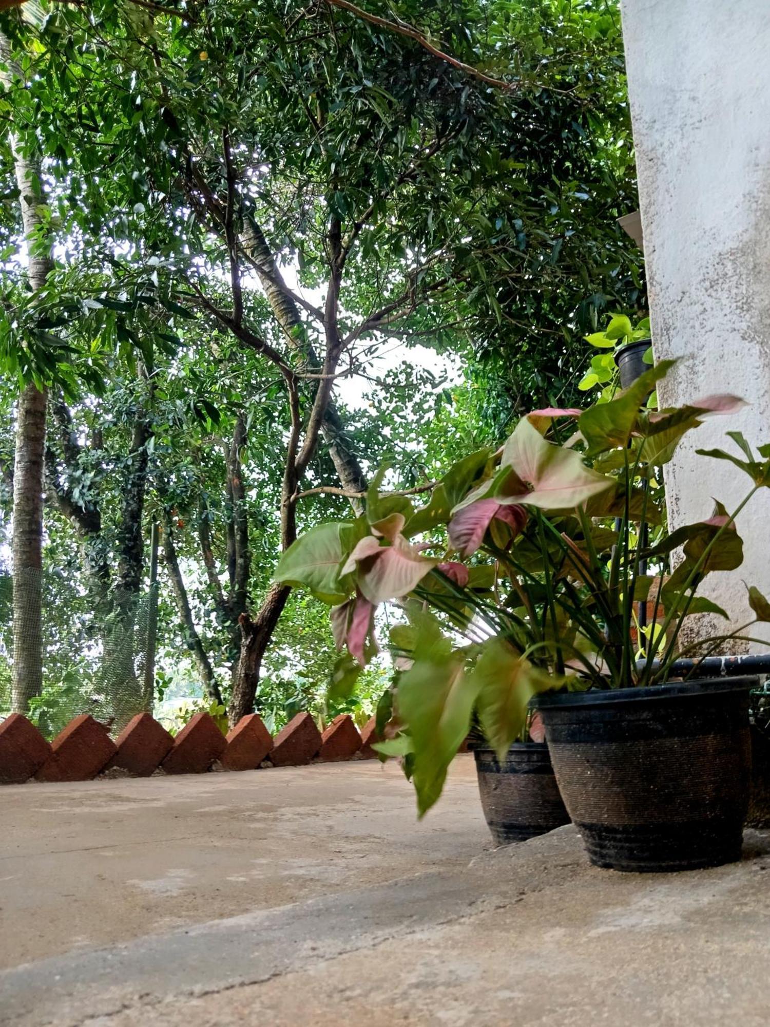 Fly Infinity - Home Stay Kandy Exterior photo