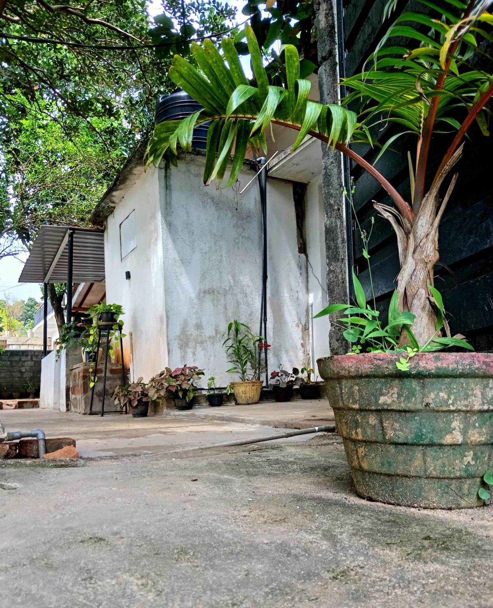 Fly Infinity - Home Stay Kandy Exterior photo