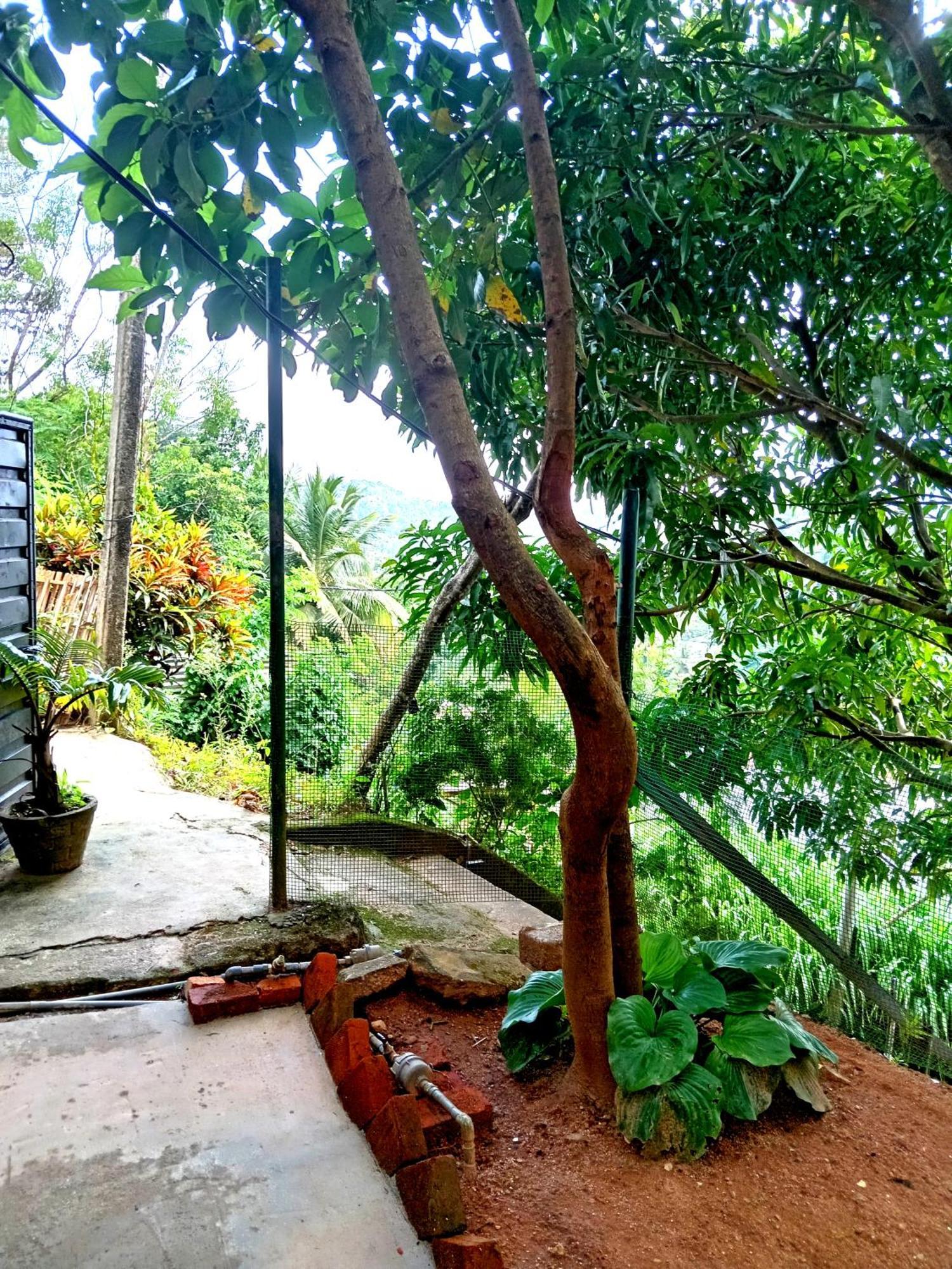 Fly Infinity - Home Stay Kandy Exterior photo